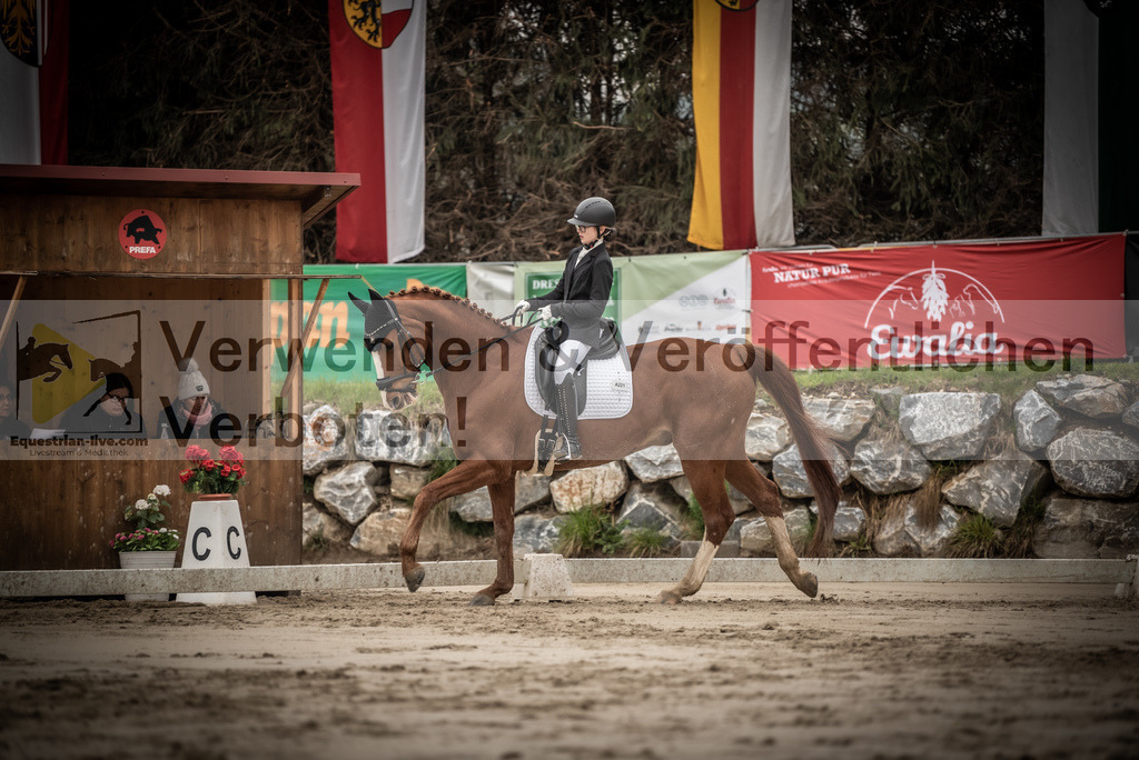 DSC_0201 | equestrian-live-com