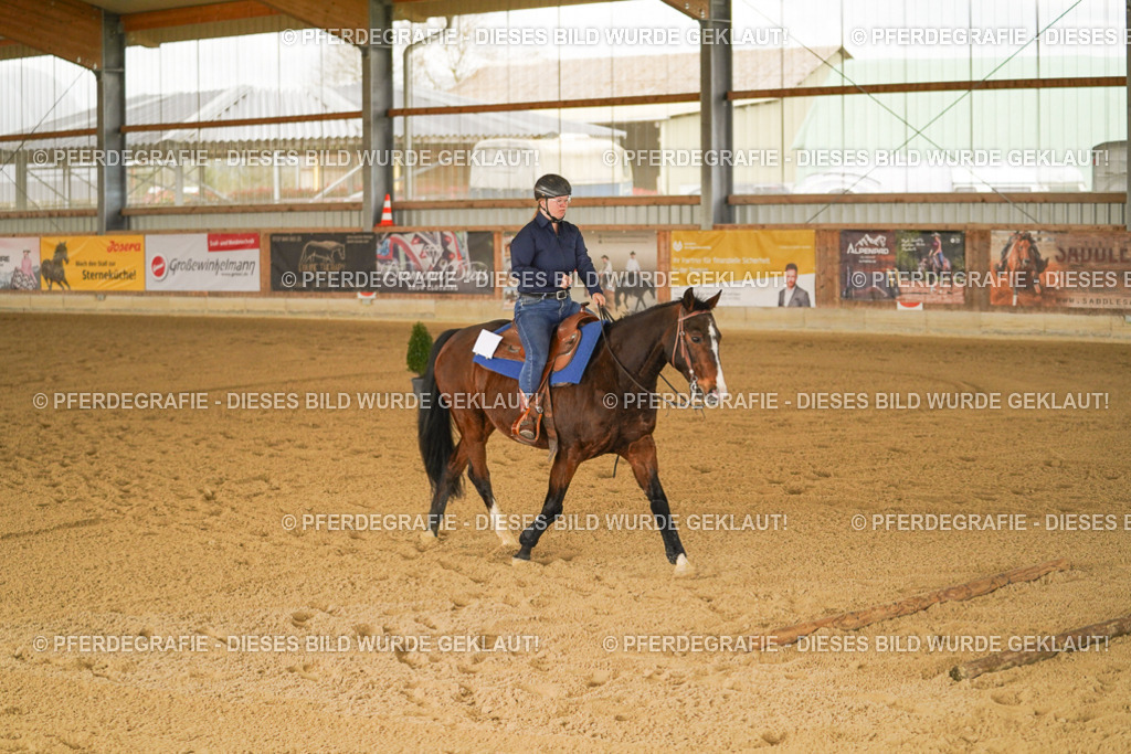 DSC04391 | Pferdegrafie