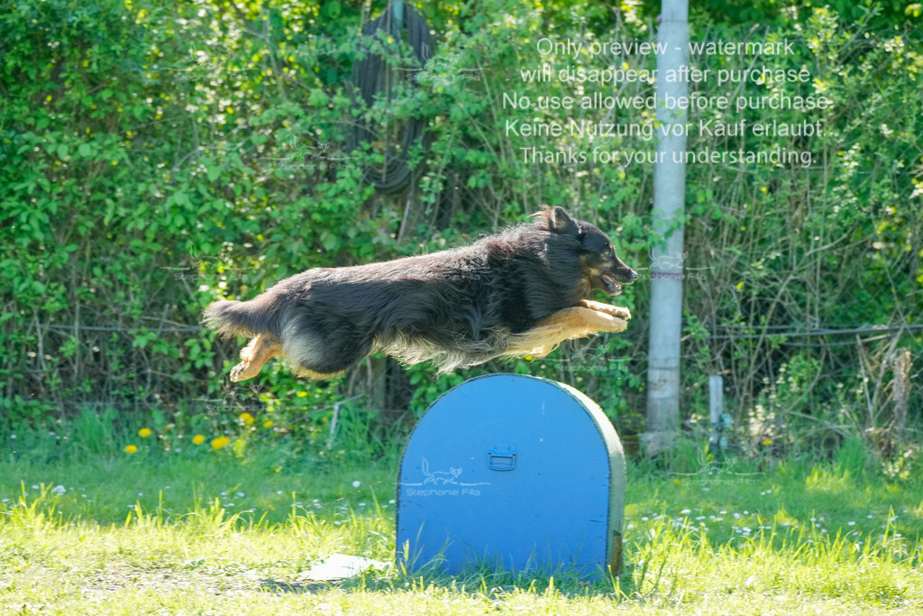 Sa_VK3_03-27 | stephaniefillaphotographie - Realisiert mit Pictrs.com