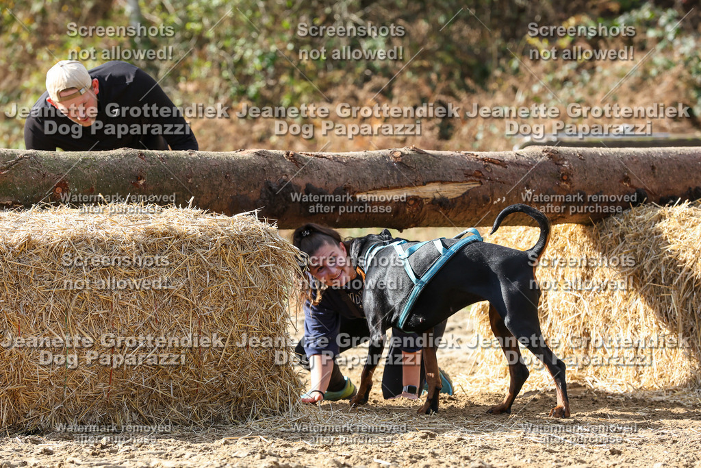 Dog Paparazzi - Strongdog 10-25-5237 | Dog Paparazzi Jeanette Grottendiek Fotografie & Videografie - Realisiert mit Pictrs.com