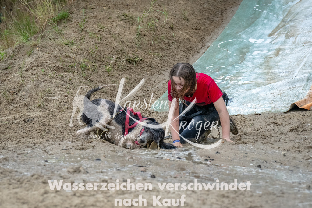 1249_ZZ90167-Bearbeitet-2 | kk-dogfotos