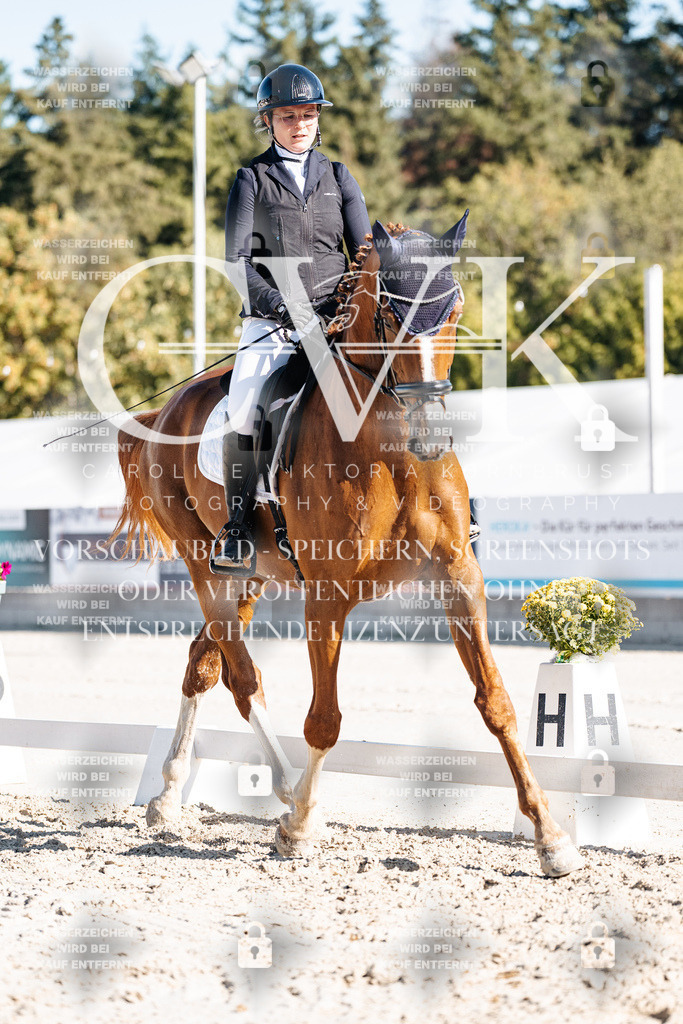 CK907748 | Turnierfotografie Pferdefotografie Trier Rheinland-Pfalz Pferdesport Reitsport Tierfotografie Sportfotografie Pferdevideo Pferdevideografie Equestrianvideography equestrianphotography  - Realisiert mit Pictrs.com