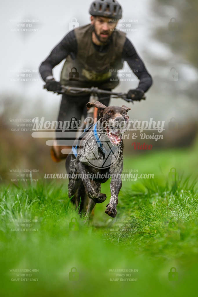 MompixPhotography_20TSB_E8_DS1-11 | PayLife
