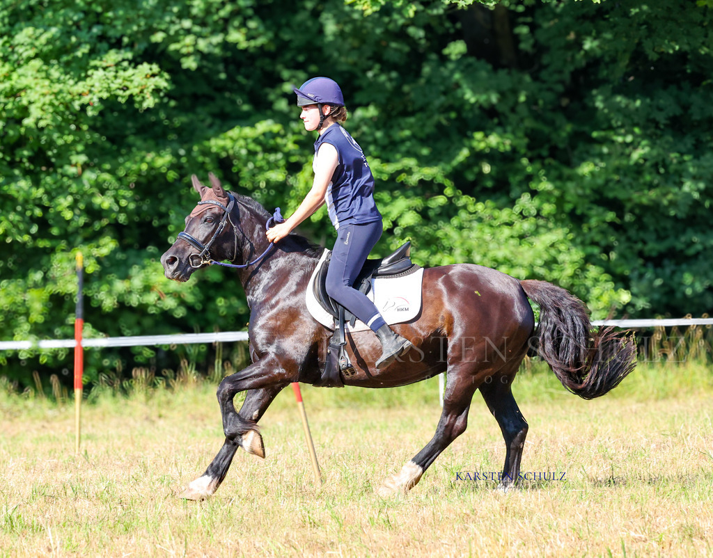 1B3A8268 | Reitsport Reiten