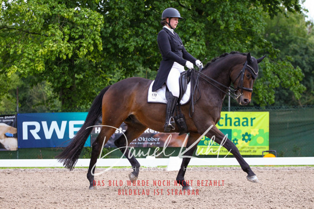 DKP41641 | Turnierfotos kaufen im Webshop von Daniel Kuhl Photography – entdecke professionelle Reitsportfotos aus Turnieren & Events. Hochwertige Turnierbilder online bestellen & sichern. Jetzt Fotos von Reitsportturnieren kaufen!