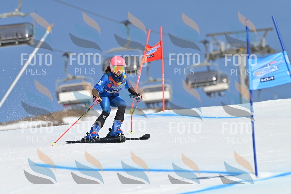 BGV_8218 | holidayphoto