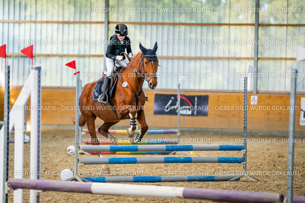 DSC01305 | Pferdegrafie