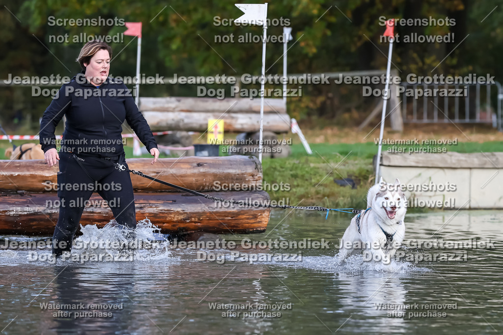 Dog Paparazzi - Strongdog 10-25-6949 | Dog Paparazzi Jeanette Grottendiek Fotografie & Videografie - Realisiert mit Pictrs.com