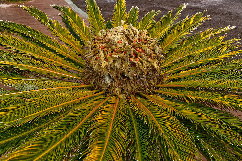 1H5A0658 | ansichtssache