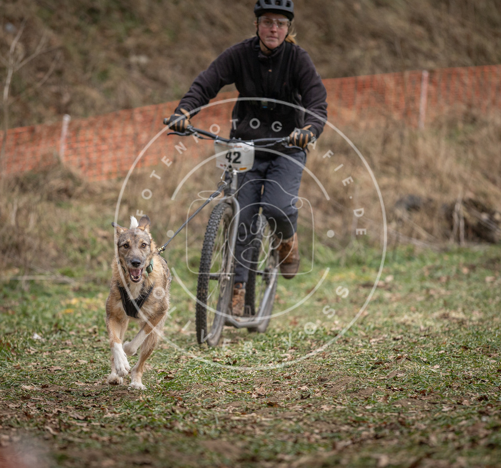 Pfotenfotografie_DV3A0518 | Hundefotografie, Tierfotograf, Pfotenfotografie, Fotoshooting Hund, Hunde Portrait, Hundesport, Hundeportraits, Heideshooting, Hunde, Sportfotograf, Hundefotograf, Turnierhundsport, THS,  - Realisiert mit Pictrs.com