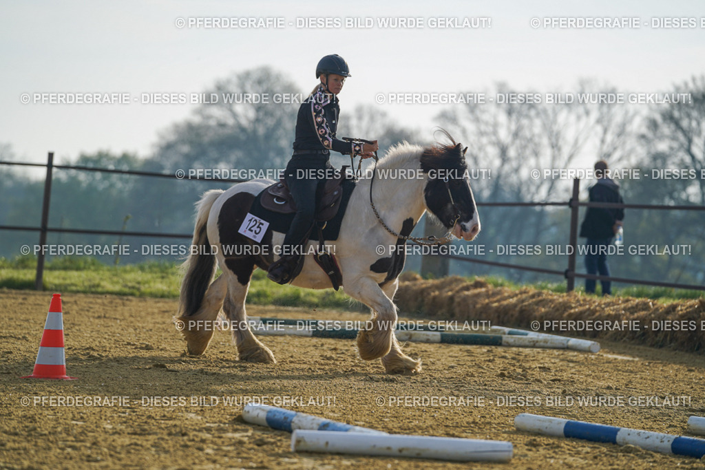 DSC00197 | Pferdegrafie