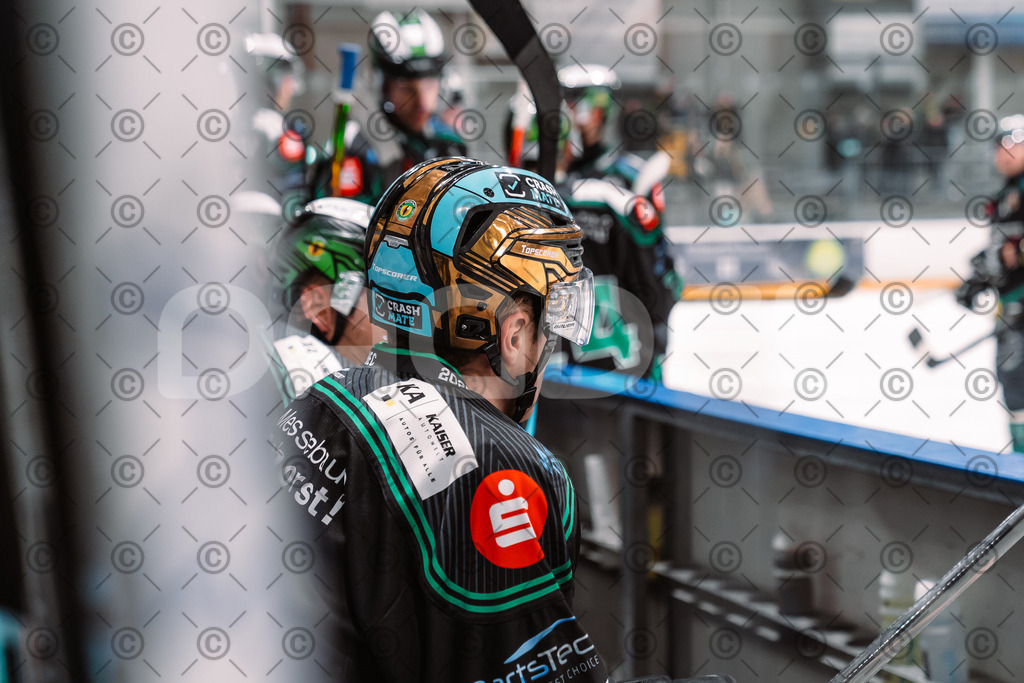 Alligators_vs_Toelz_18_11_2025-33 | Höchstadt Alligators Fotogalerie: Eishockey-Action aus Franken. Professionelle Spielfotos, Portraits & Stadionbilder zum Download. Jetzt entdecken! - Realisiert mit Pictrs.com