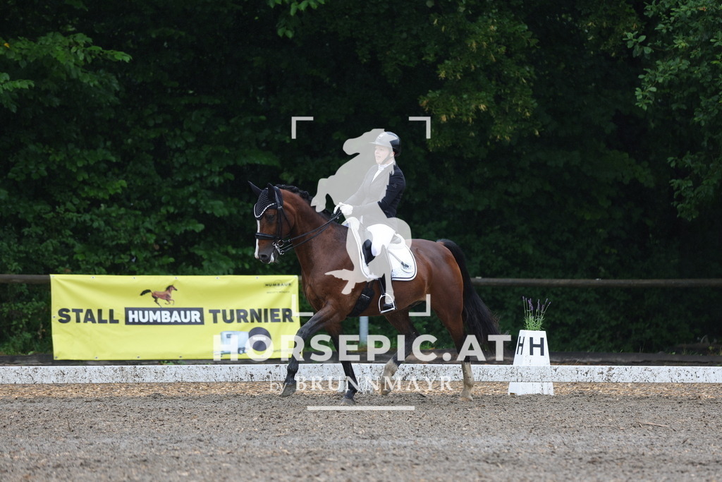 0P6A9154 | Willkommen bei Brunnmayr - Design & Fotografie – Ihrem Spezialisten für Reitturniere und Pferdeveranstaltungen in Oberösterreich, Salzburg und Bayern! Seit über 17 Jahren sind wir leidenschaftlich dabei.