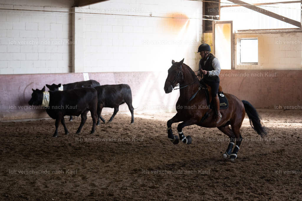 WM_COW_97_SinaFilmArt_IN04716 | working equitationturnier fotograf videograf stoibphotography marixx film working equitation deutschland reitsport turnierfotografie eventfotografie equestrian events