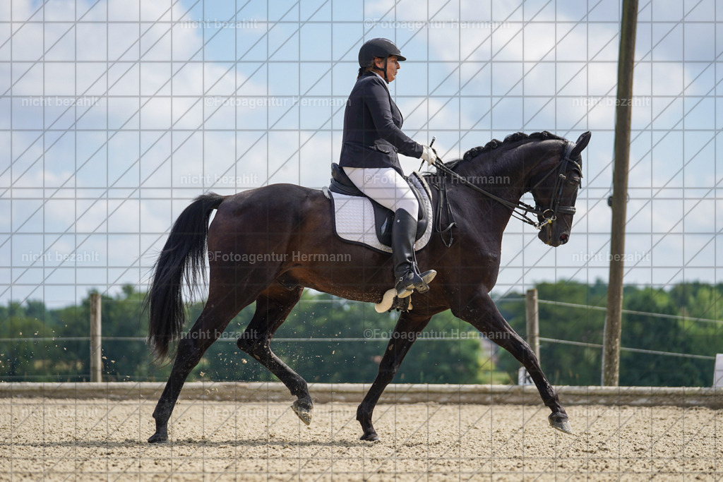 20230826-FAH05755 | Forstinning, 2023, Dressurturnier, Turniersportbilder, Turnierfotografen Bayern, Fotoagentur Herrmann, Reitsportfotografie, Turnierbilder