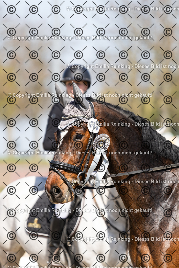 CL5A5856-3 | Emilia Reinking Fotografie - Realisiert mit Pictrs.com