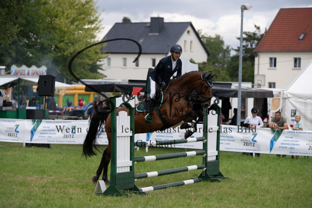 A7V04005 | Pferdefotograf