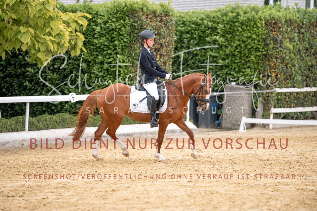 Schugtsche-Aluta25-40.DressurprfA_-419 | Schugtsche Fotografie - Realisiert mit Pictrs.com
