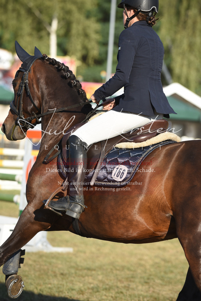 DSC_4918 | Pferde- und Turnierfotografie in Westsachsen. Pferdeportraits, Auftragszeichnungen und intuitive Kunst.