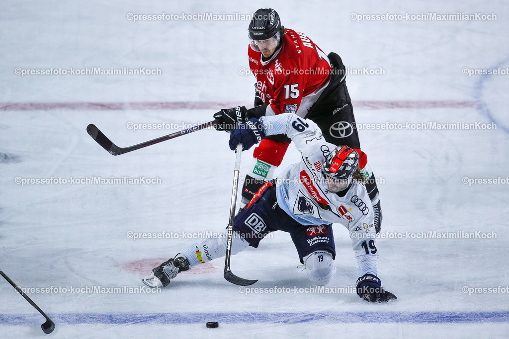 KoeDEL13032401057 | 13.03.2024, Köln, Eishockey, Penny DEL, Pre-Playoffs Spieltag 2, Lanxess-Arena, Kölner Haie - ERC Ingolstadt: Wojciech Stachowiak (ERC Ingolstadt) gegen xx15