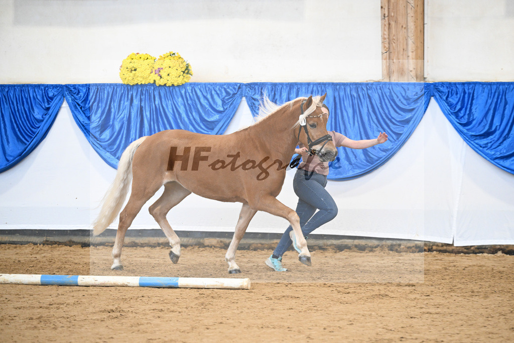 Bl. Band Kat-Nr. 11 Bel Amour v. Armani Ass_Aicher_48251450 | hf-fotografie - Realisiert mit Pictrs.com