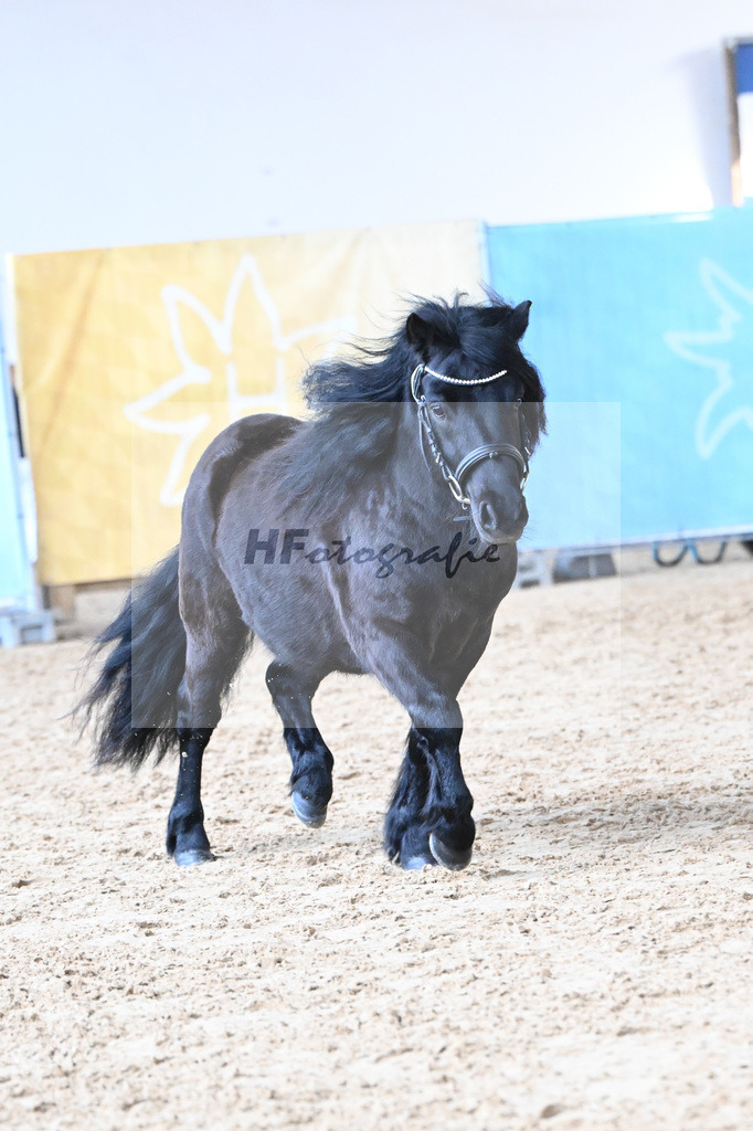 Kat-Nr. 19 Wattan von Neuhaeusler v. Wolfgang v d Roemer_Baumann_9260480 | hf-fotografie - Realisiert mit Pictrs.com