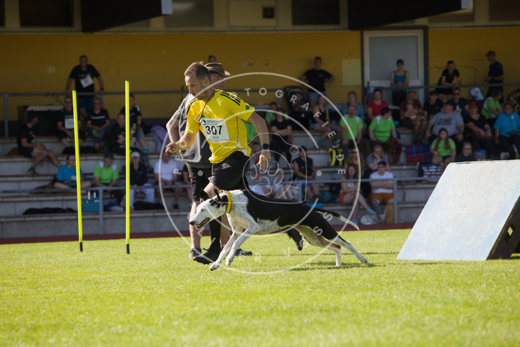 0L8A8490 | Hundefotografie, Tierfotograf, Pfotenfotografie, Fotoshooting Hund, Hunde Portrait, Hundesport, Hundeportraits, Heideshooting, Hunde, Sportfotograf, Hundefotograf, Turnierhundsport, THS,  - Realisiert mit Pictrs.com