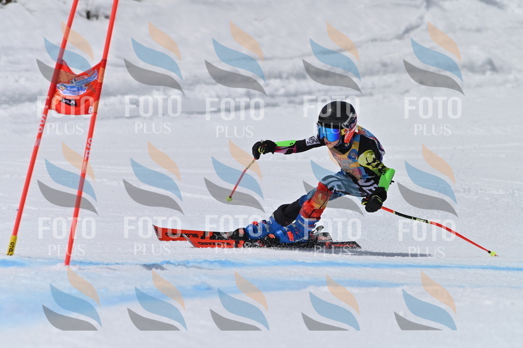 BGV_6569 | holidayphoto