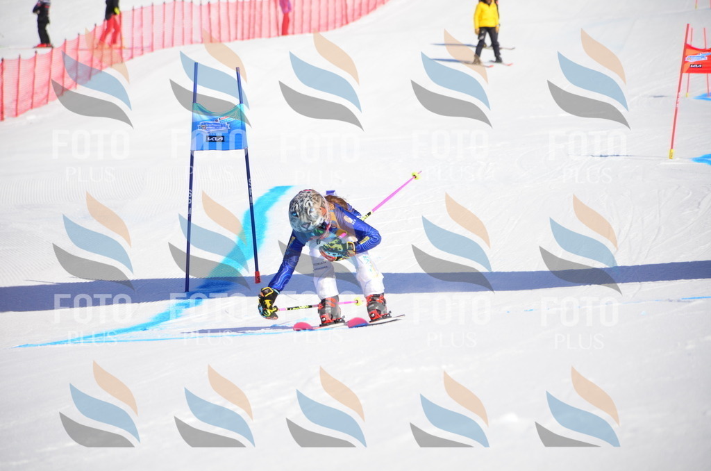 VR4_8594 | holidayphoto