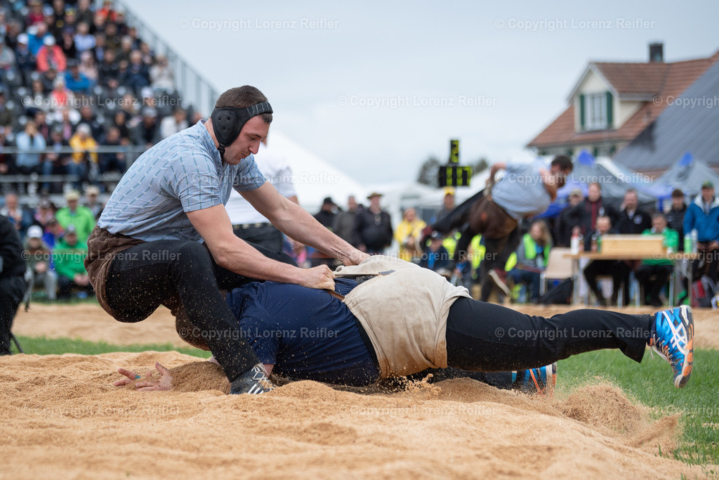Schwingen -  Thurgauer Kantonales 2024 | Ermatingen, 5.5.24, Schwingen - Thurgauer Kantonales.