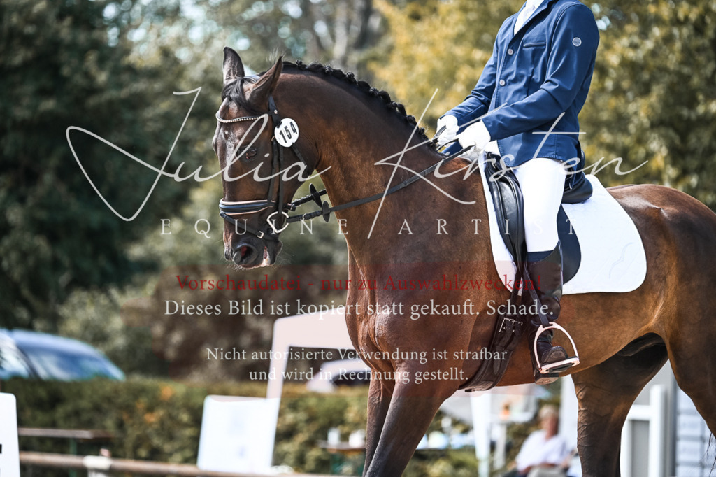 DSC_5433 | Pferde- und Turnierfotografie in Westsachsen. Pferdeportraits, Auftragszeichnungen und intuitive Kunst.
