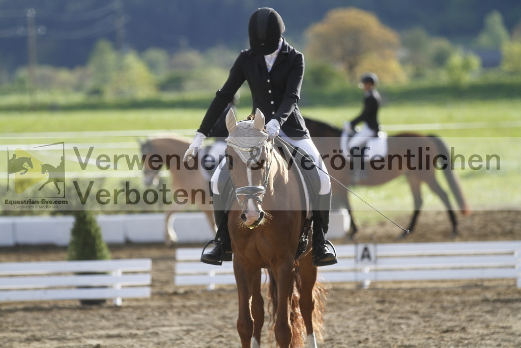 _MG_4290 | equestrian-live-com