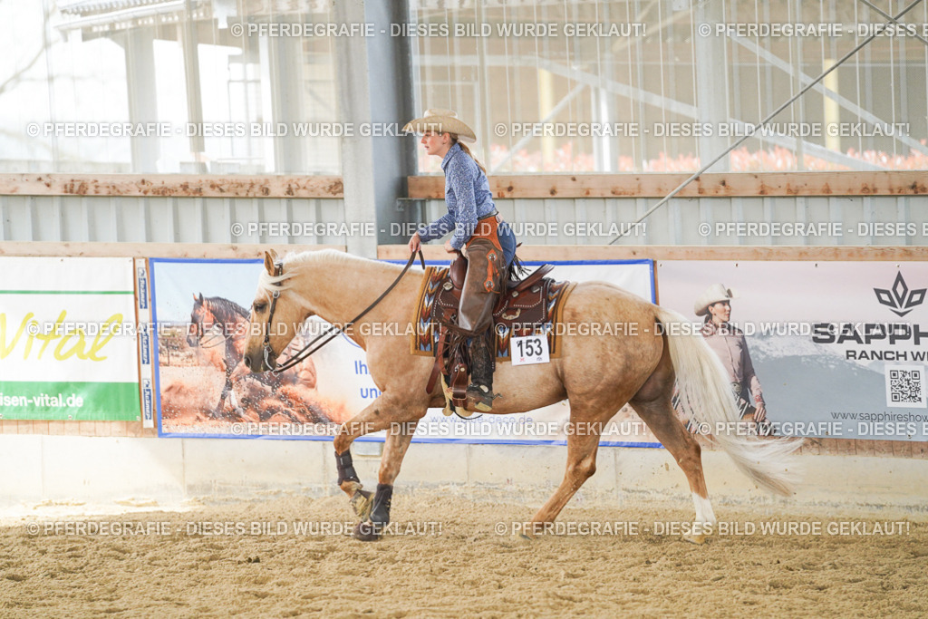 DSC05917 | Pferdegrafie