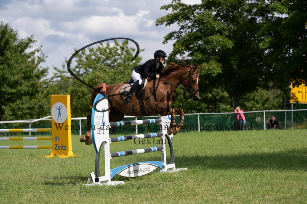 A7V04726 | Pferdefotograf