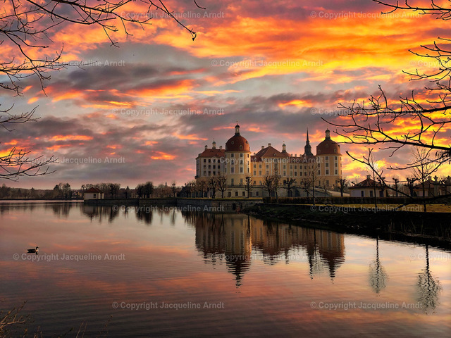 Moritzburg_Jacqueline_Arndt_ | Fotografie Photography Dresden Photoshooting  Fotoshooting Fotografin Dresdencity Bilder  Foto Dresdenvideos Kalender Postkarten Bilderdownload Portrait Hochzeitsfotografie Familienfotos Bewerbungsbilder Studiofotografie Fotograf Dresdenbilder Business - Realisiert mit Pictrs.com