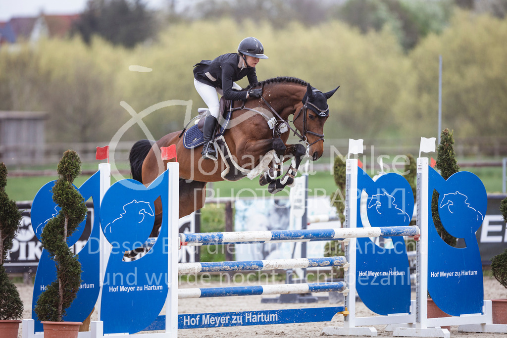 250417_Springpferde-L1-298 | Deine schönsten Turniermomente als professionelle Fotos! Entdecke hochwertige Pferdesport-Fotografie im Online-Shop. Jetzt Fotos finden & bestellen!