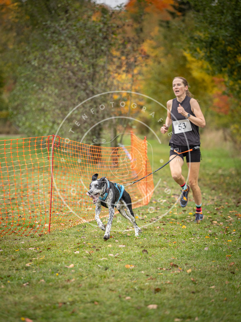 Pfotenfotografie_DV3A2531 | Hundefotografie, Tierfotograf, Pfotenfotografie, Fotoshooting Hund, Hunde Portrait, Hundesport, Hundeportraits, Heideshooting, Hunde, Sportfotograf, Hundefotograf, Turnierhundsport, THS,  - Realisiert mit Pictrs.com