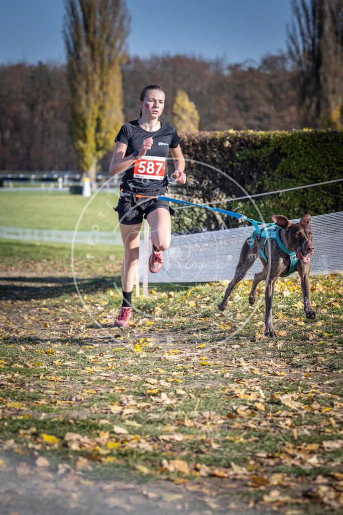 CaniXpix_DV3A9177 | Hundefotografie, Tierfotograf, Pfotenfotografie, Fotoshooting Hund, Hunde Portrait, Hundesport, Hundeportraits, Heideshooting, Hunde, Sportfotograf, Hundefotograf, Turnierhundsport, THS,  - Realisiert mit Pictrs.com