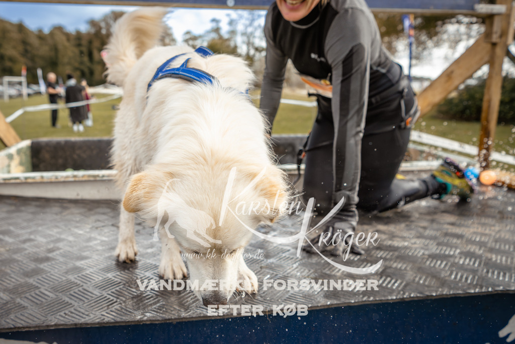 1345_ZZ92141-2 | kk-dogfotos