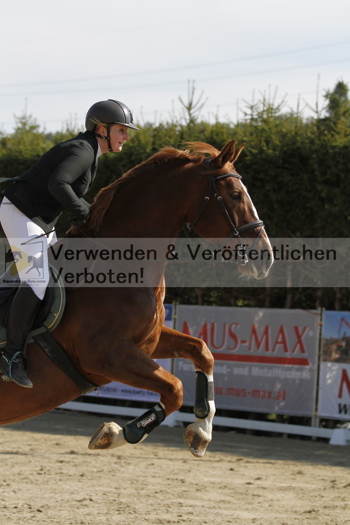 _MG_9448 | equestrian-live-com