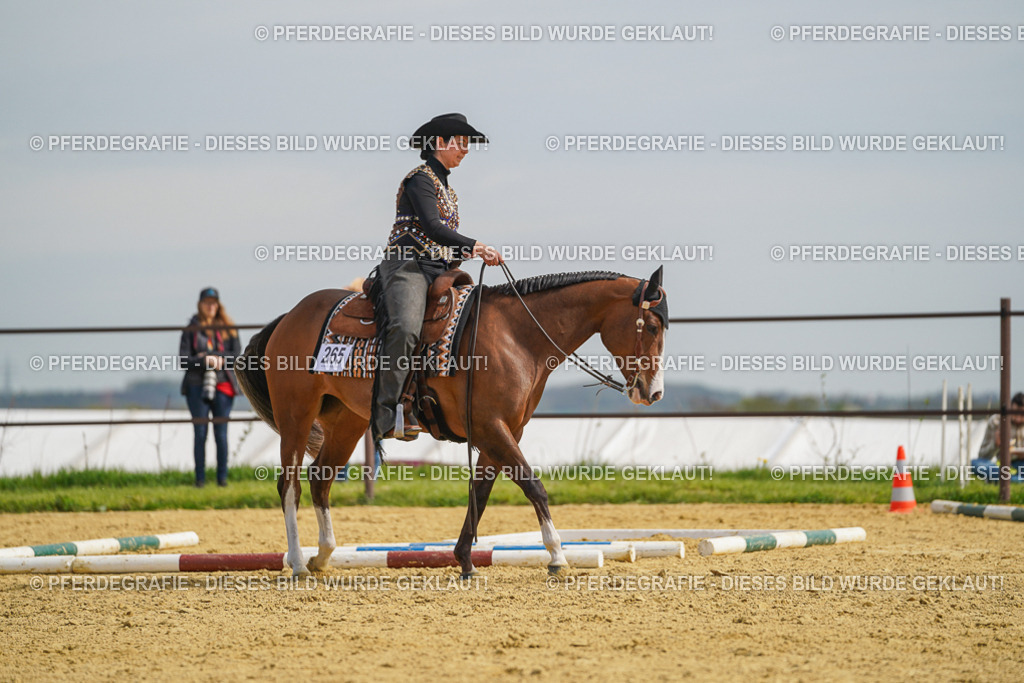 DSC03958 | Pferdegrafie