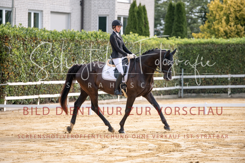 Schugtsche-Aluta25-40.DressurprfA_-48 | Schugtsche Fotografie - Realisiert mit Pictrs.com