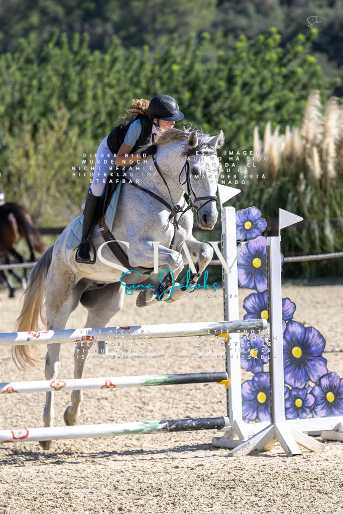 IMG_0050 | s-jay-photography - Realisiert mit Pictrs.com