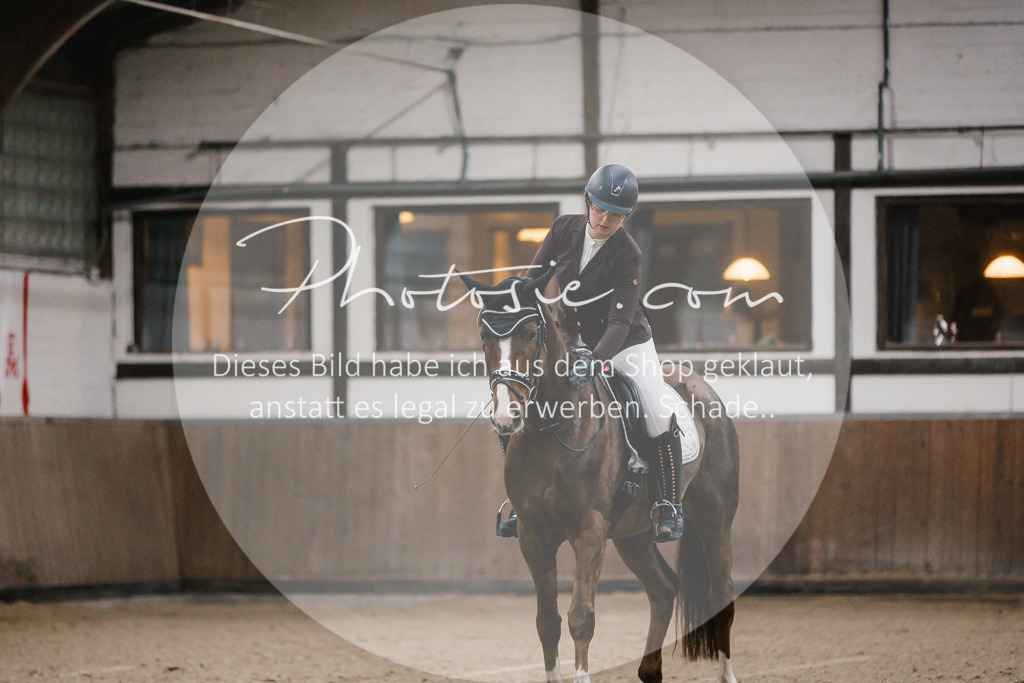 3I6A5908 | Stimmungsvolle Portraits und Reitsportfotografie im Ruhrgebiet und im Münsterland.

Pferdefotografie, Hundefotografie, Tierfotografie, Reportagen, Portraits von Tier und Mensch, Turnierfotografie in Bochum, Recklinghausen, Marl, Haltern am See, Dülmen.. - Realisiert mit Pictrs.com