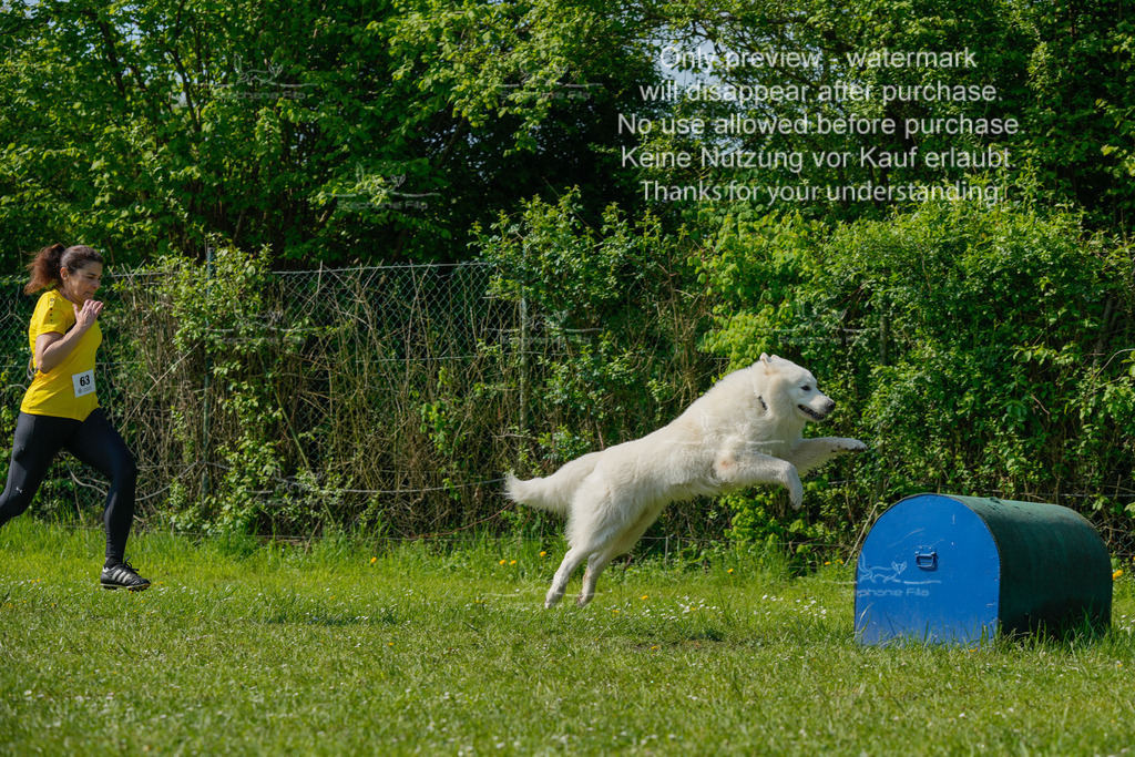 Sa_SprintVK_Gr2_03-17 | stephaniefillaphotographie - Realisiert mit Pictrs.com