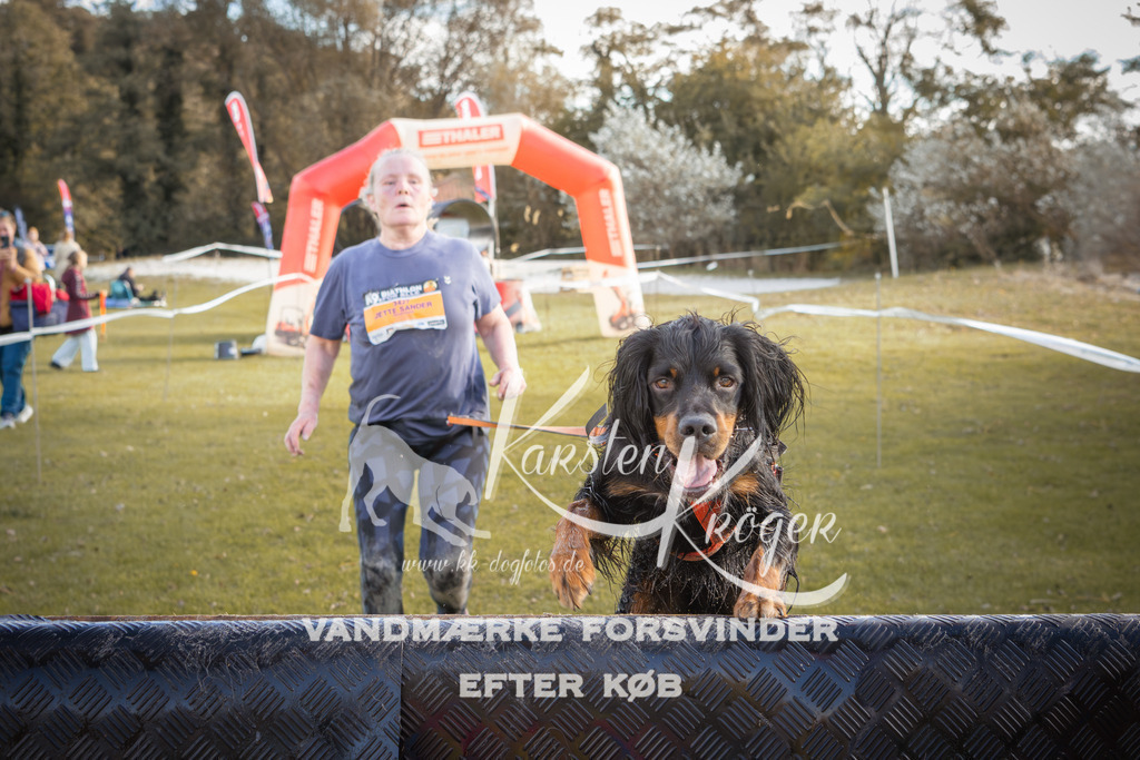 1320_ZZ90172-2 | kk-dogfotos