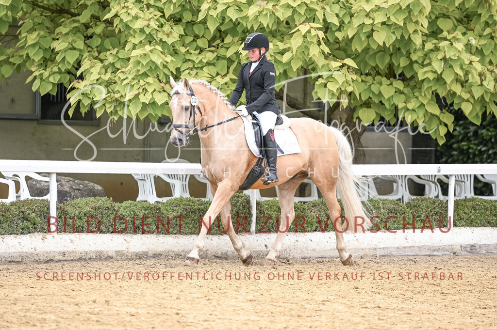 Schugtsche-Aluta25-44.DresssurreiterWB-132 | Schugtsche Fotografie - Realisiert mit Pictrs.com