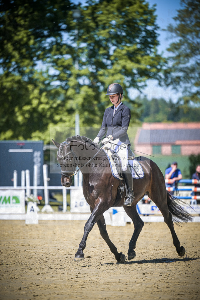 DOS_6446 | Entdecke hochwertige Reitturnierfotos von Foto Oger. Professionell, emotional und authentisch – jetzt Lieblingsmomente im Shop bestellen.Deutschlandweite Turnierfotografie. - Realisiert mit Pictrs.com