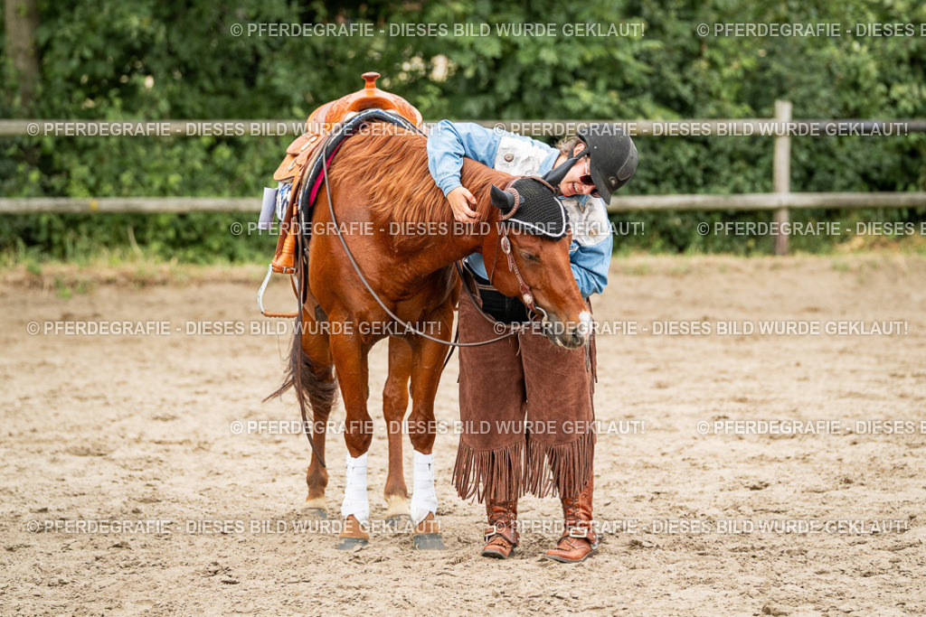 DSC03666 | Pferdegrafie