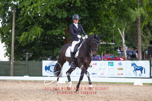 DKP41310 | Turniersportfotografie; Pferdefotografie; Dressurfotografie